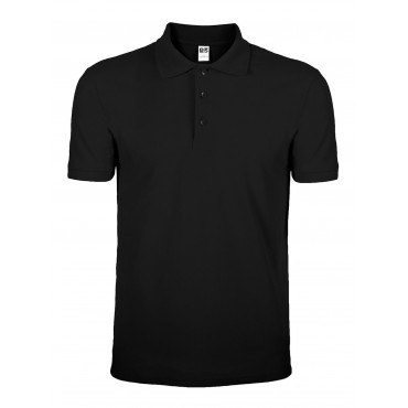 POLO EVOLUTION